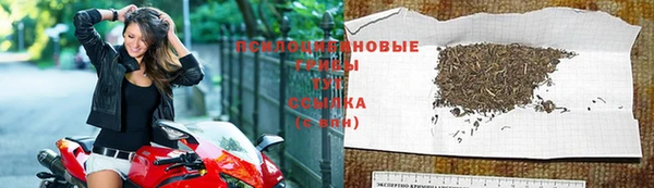 стафф Кулебаки