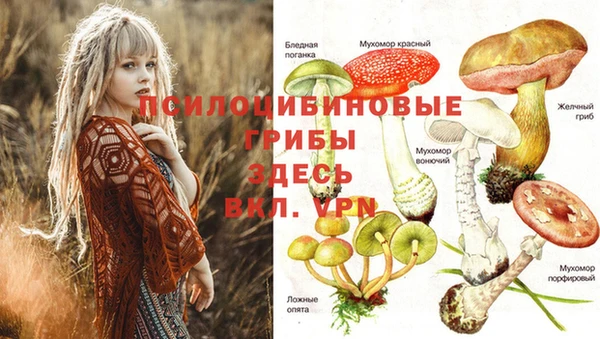 ешки Красноперекопск