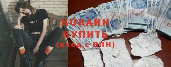 стафф Кулебаки