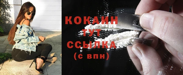 стафф Кулебаки
