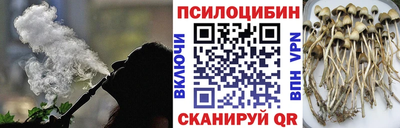 Псилоцибиновые грибы Psilocybe что такое Белоярский
